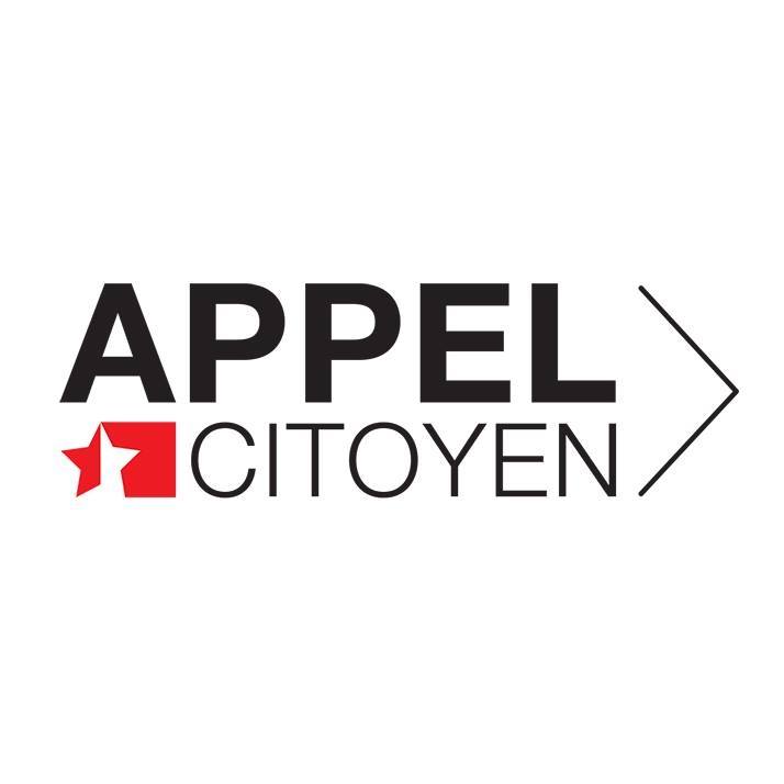 Constituante valaisanne : Appel Citoyen affiche les votes par parti